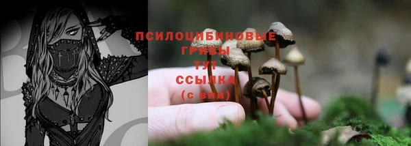 кокс Беломорск