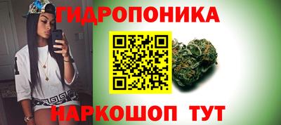 хмурый Аргун