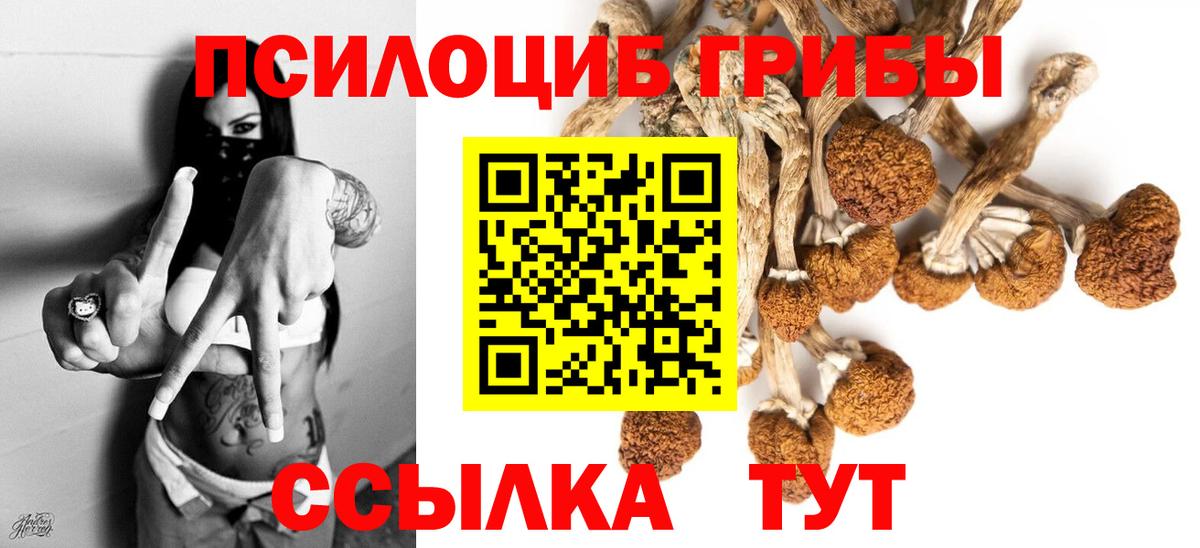 Галлюциногенные грибы Psilocybine cubensis  Псилоцибиновые грибы ЛСД  купить  цена  Верхний Уфалей 